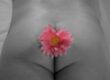 Analmassage genießen