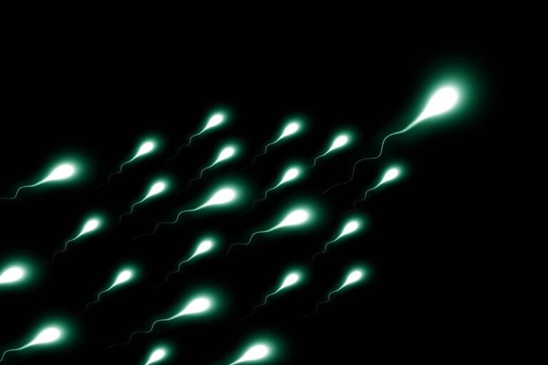 Sperm (Semen) Retetntion